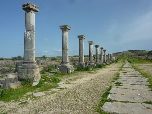 Gita di un giorno da Fes a Volubilis e Meknes
