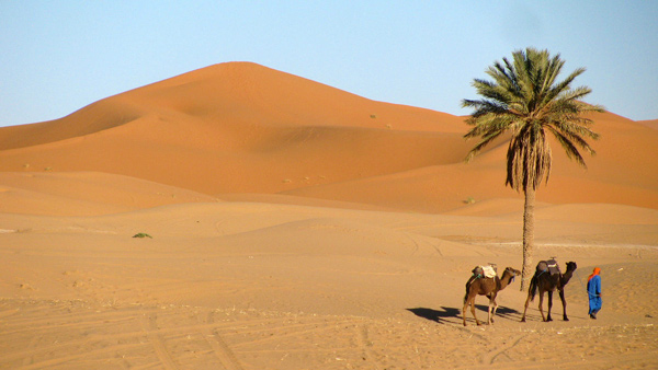 5 Days Tour South Of Morocco To Discover The Desert From Marrakech