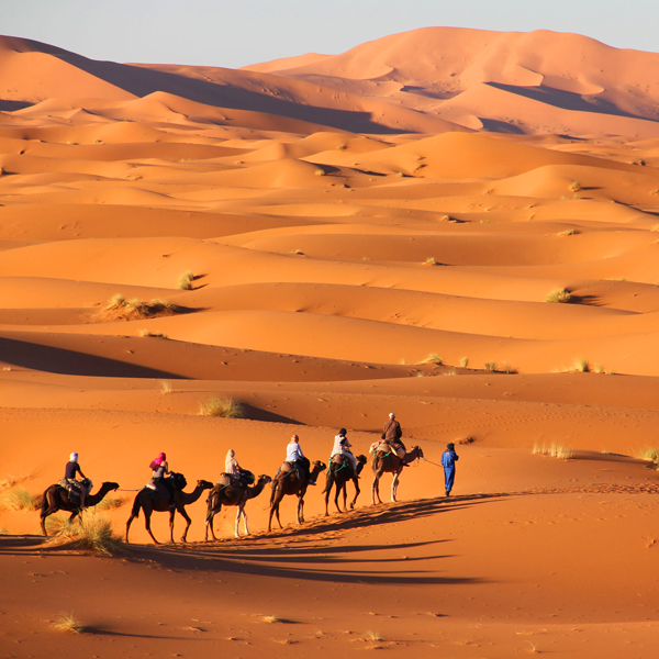 8 Days tour from fez to Casablanca via desert of Merzouga