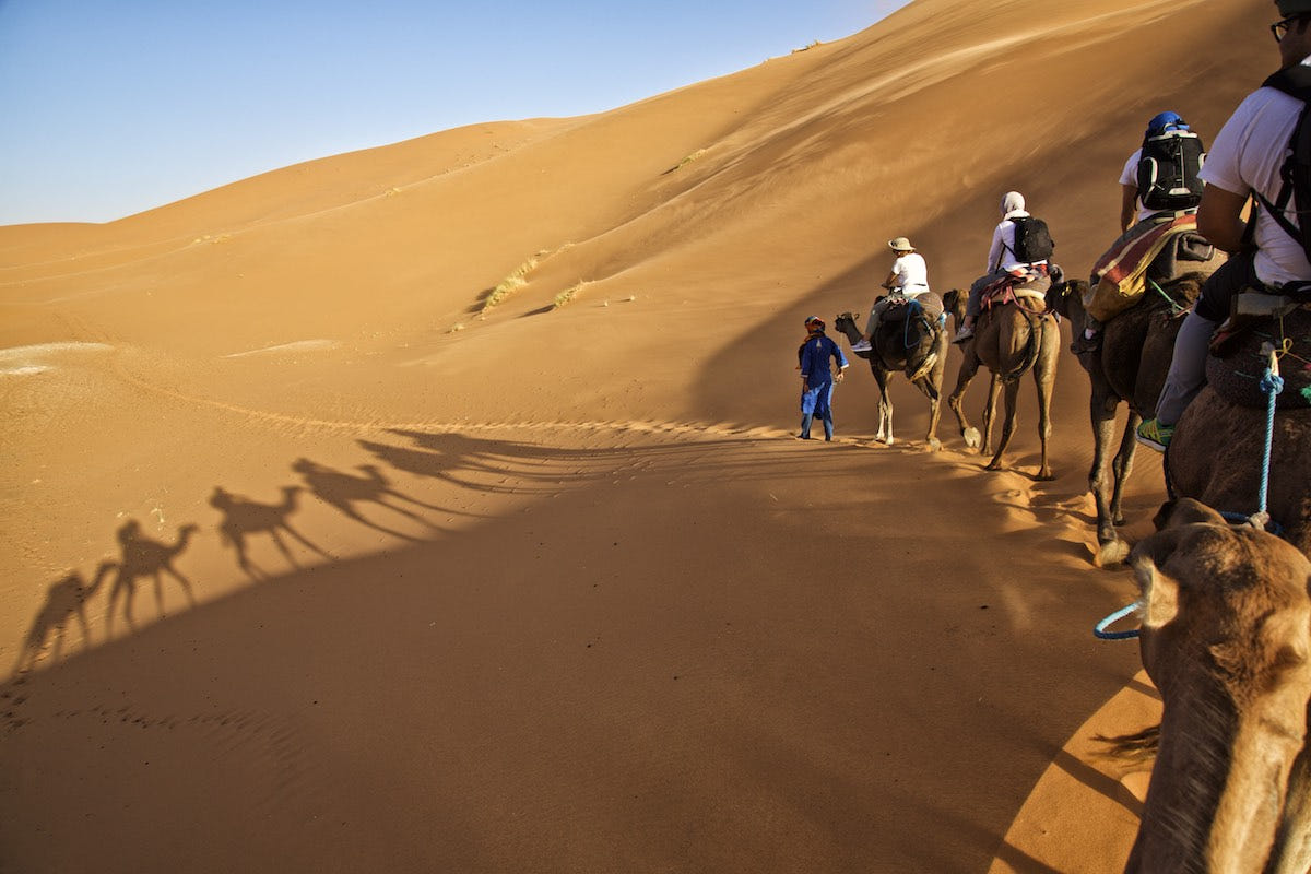 5 Days Tour Fantastic Experience In The Desert With Camels And Path