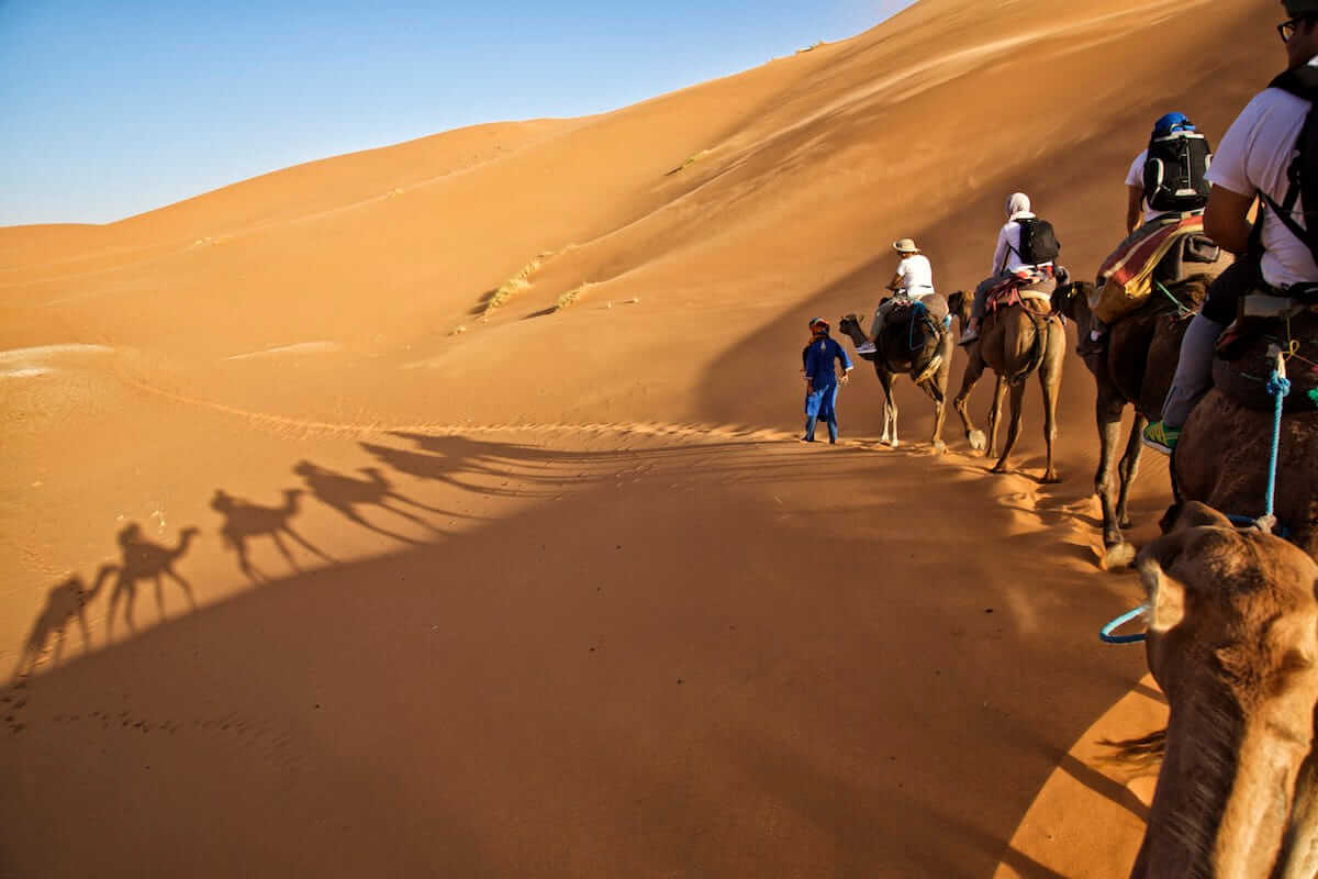 5-days-tour-fantastic-experience-in-the-desert-with-camels-and-path